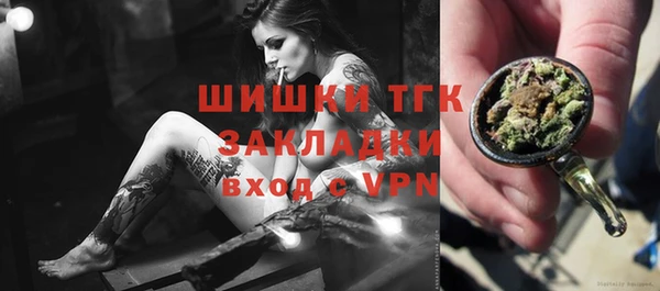 стафф Арсеньев