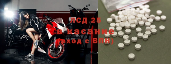 стафф Арсеньев