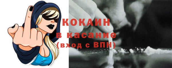 стафф Арсеньев