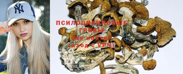 таблы Аркадак