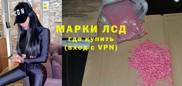 стафф Арсеньев