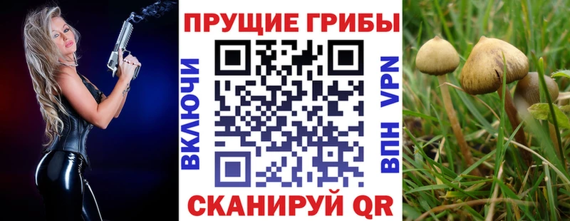 Галлюциногенные грибы Psilocybine cubensis ссылка на мегу Арсеньев