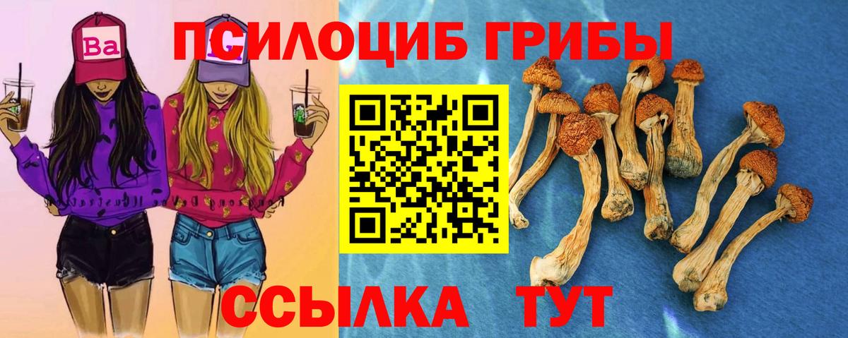 Арсеньев  Галлюциногенные грибы Psilocybe  Вход с VPN  Псилоцибиновые грибы мицелий 