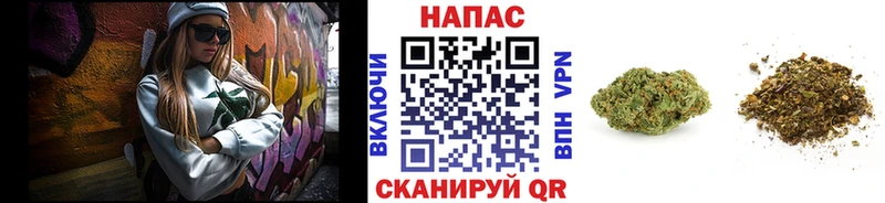 Каннабис индика  Арсеньев 